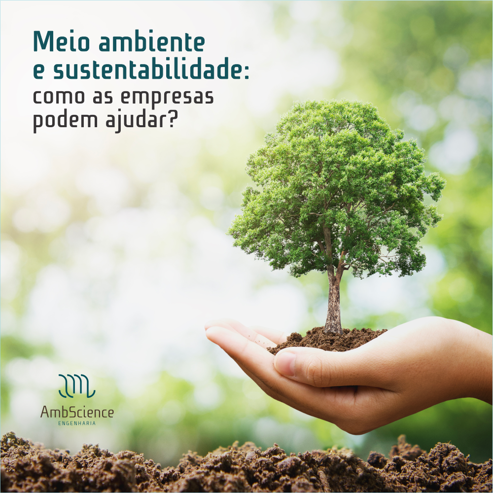 Meio Ambiente E Sustentabilidade Como As Empresas Podem Ajudar AmbScience