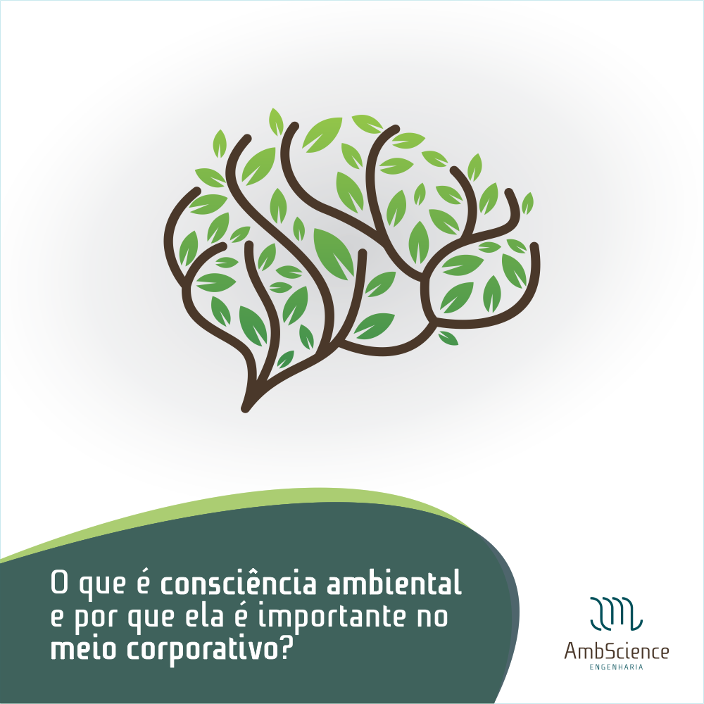 O Que é Consciência Ambiental E Por Que Ela é Importante?AmbScience