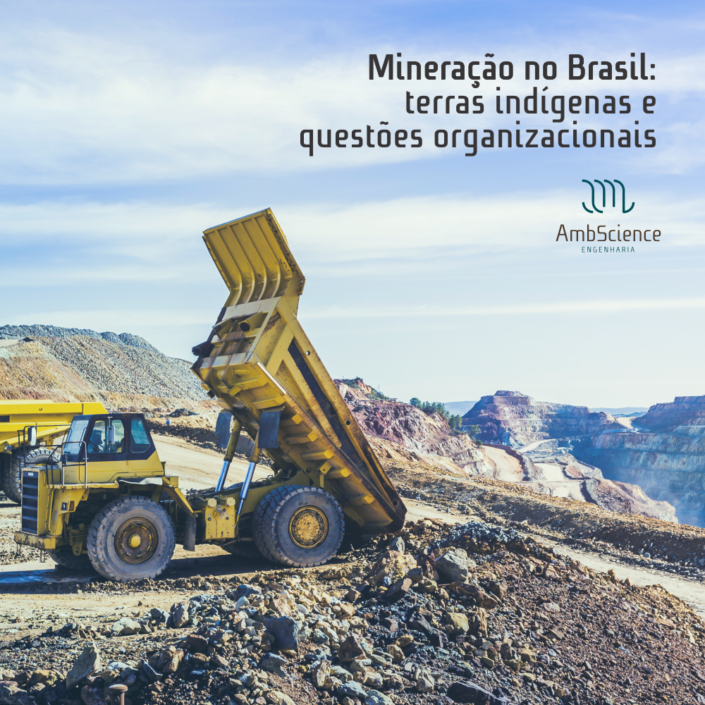 Mineração no Brasil terras indígenas e questões organizacionaisAmbScience