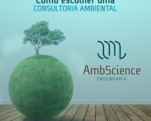 consultoria ambiental