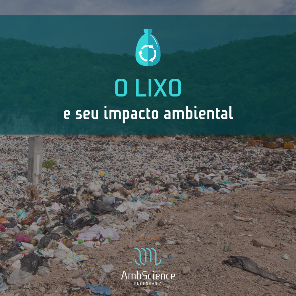 8. Que problema ecológico a tirinha abaixo retrata?​ 