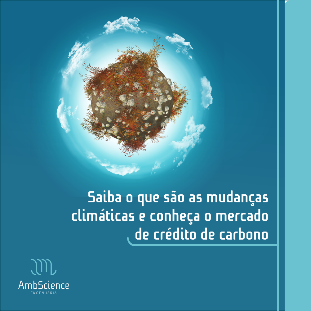 Mudanças Climáticas E O Mercado De Crédito De Carbono ...