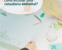 consultoria ambiental