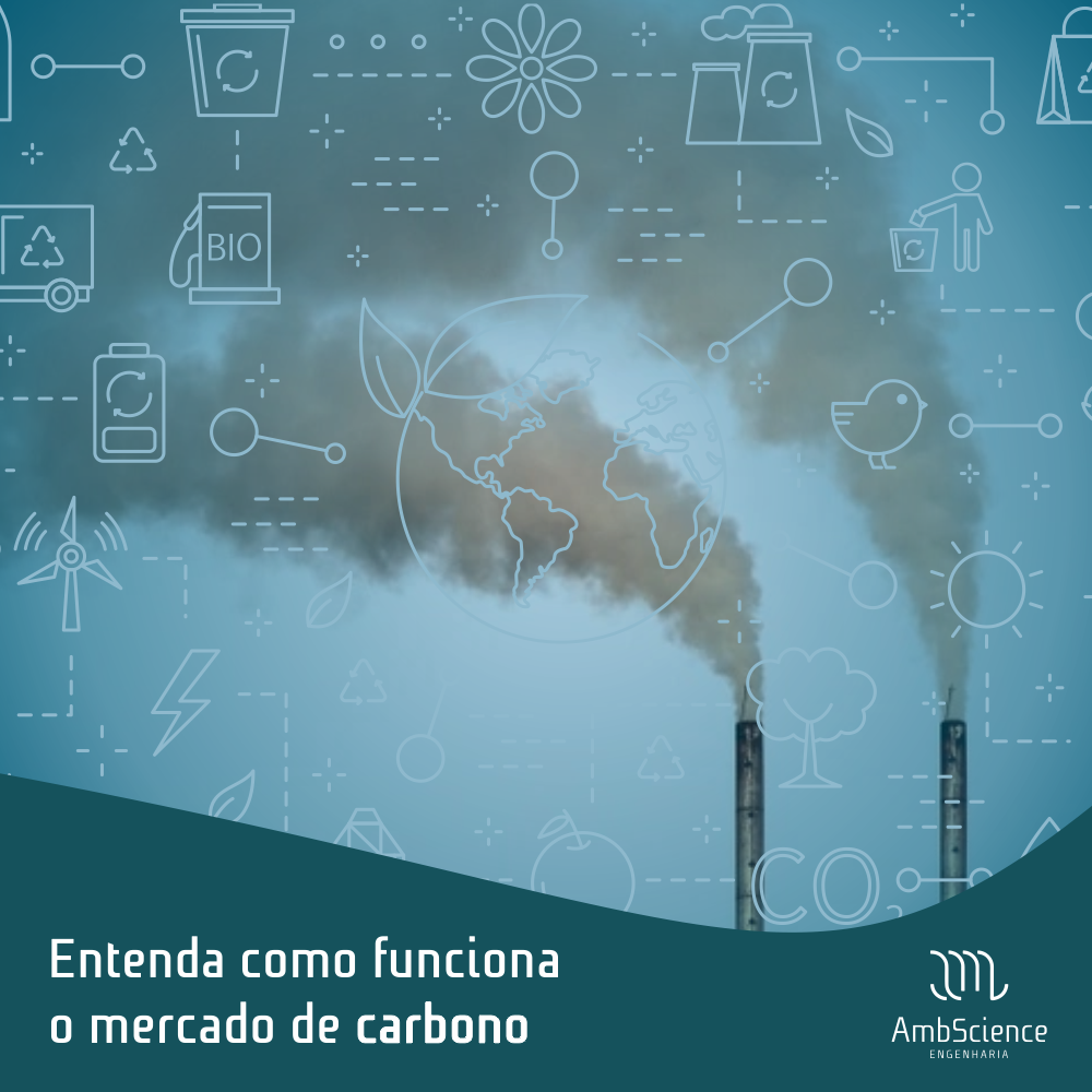 Saiba mais sobre como funciona o mercado de carbonoAmbScience