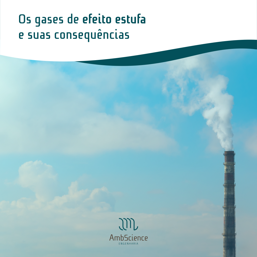 Efeito Estufa Gases Causadores - FDPLEARN