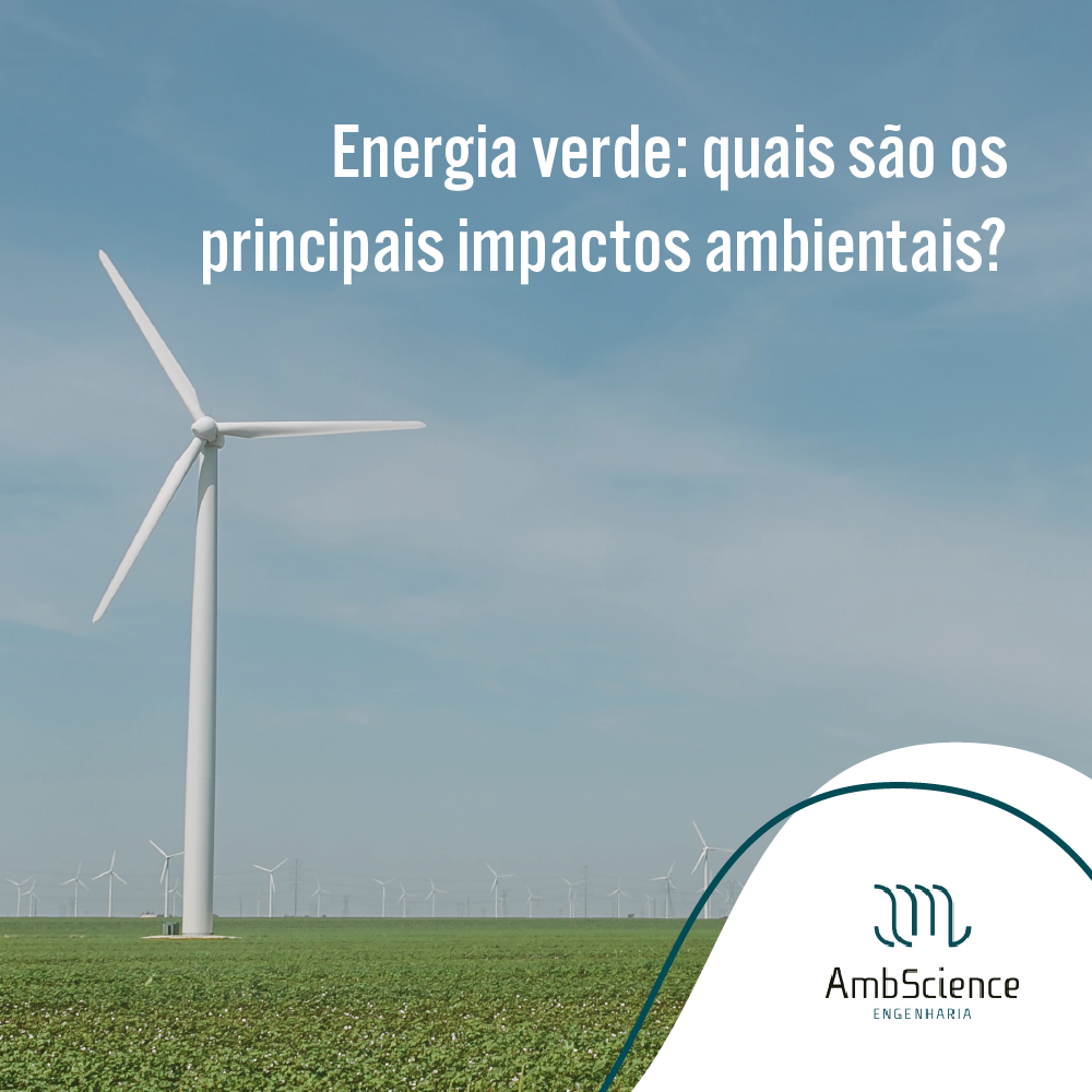 Palmeiras Assume Liderança em Sustentabilidade com Selo Energia Verde