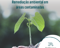 remediação ambiental