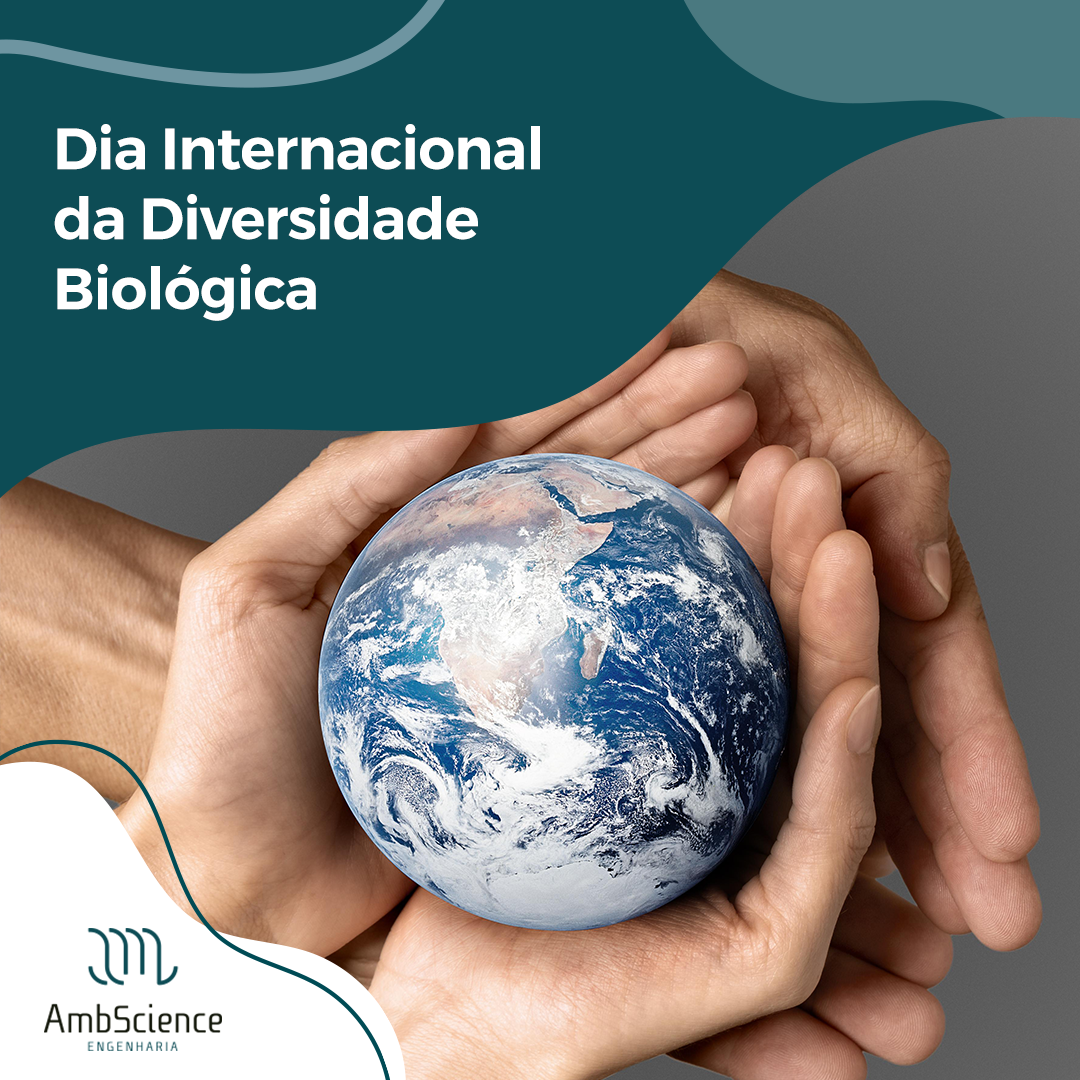 Dia Internacional Da Diversidade Biol Gica Saiba Como Surgiuambscience