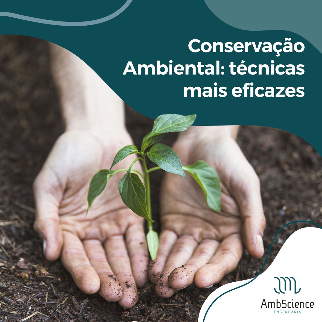 Conservação Ambiental Conheça As Técnicas Mais Eficazesambscience 8668