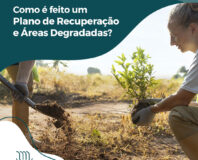 plano de recuperação de áreas degradadas